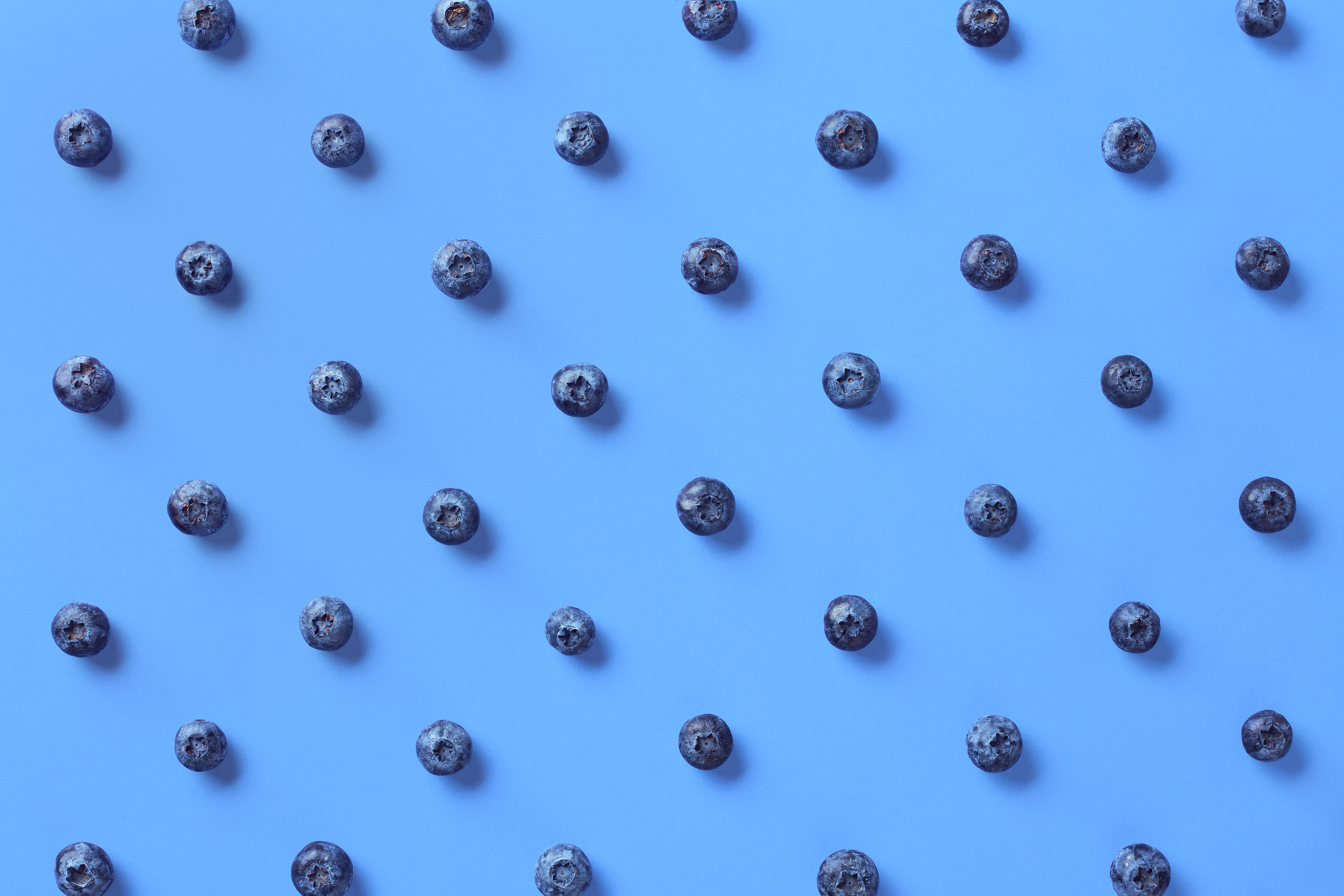 Shutterstock 737570032