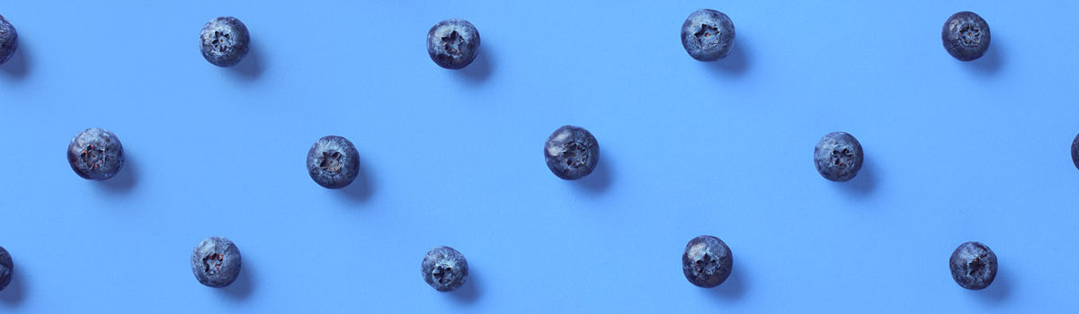 Shutterstock 737570032 1600X400 1 1200X350