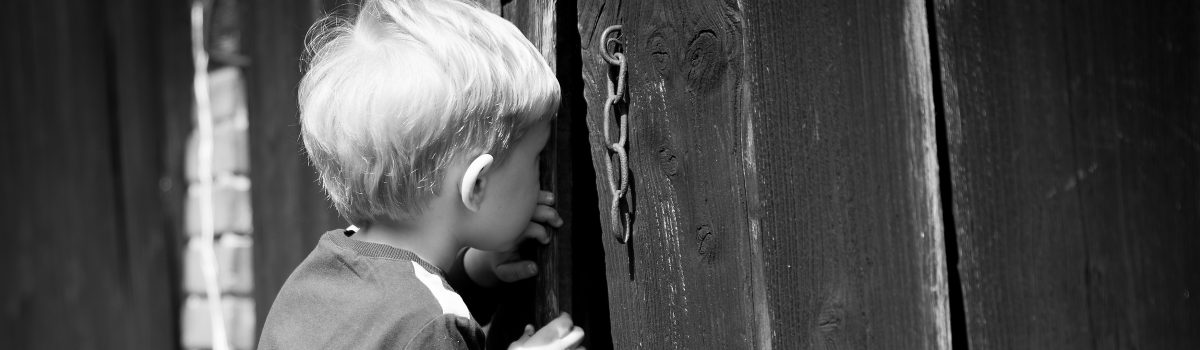 Curiosity Cropped 1200X350