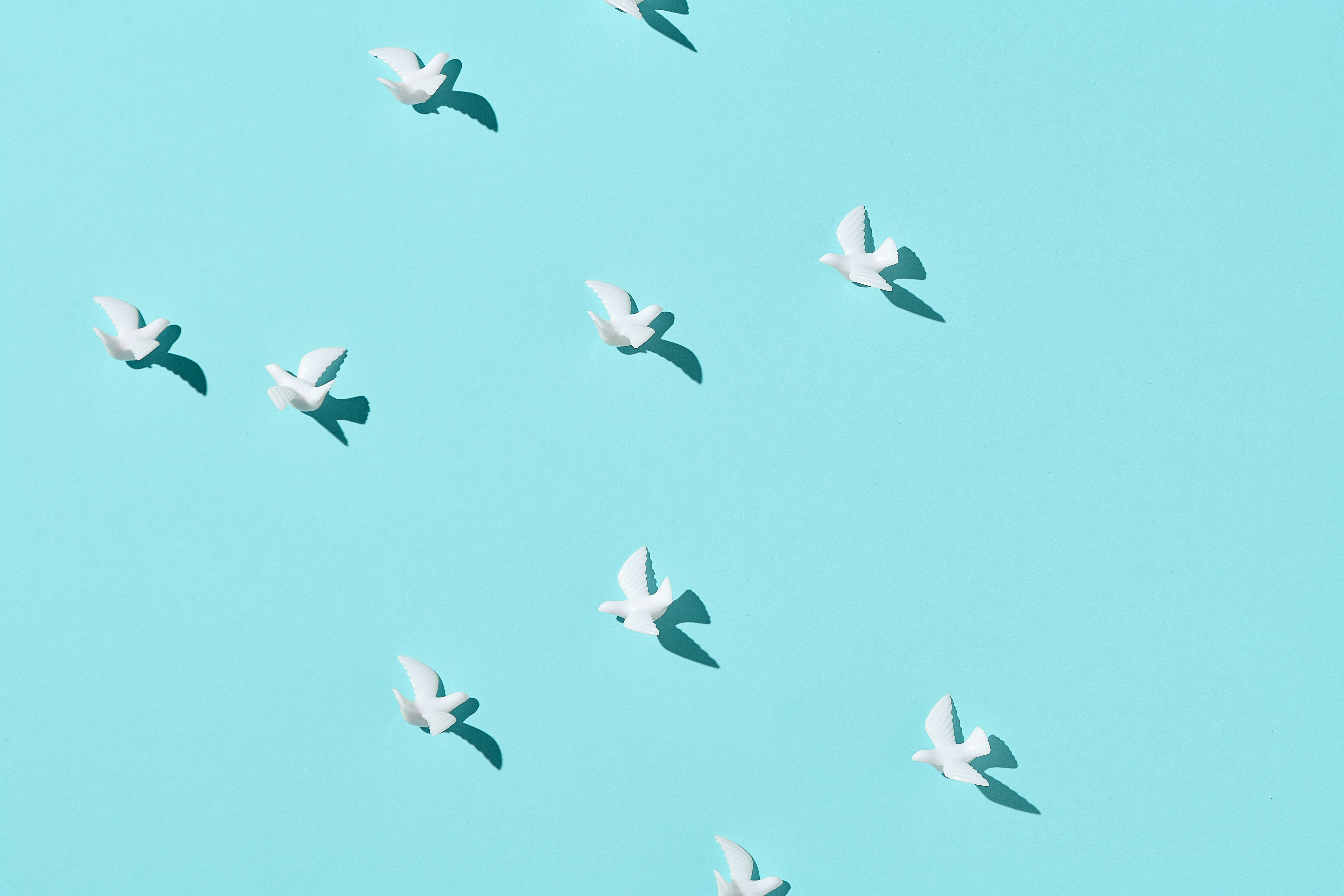 Shutterstock 1697405827