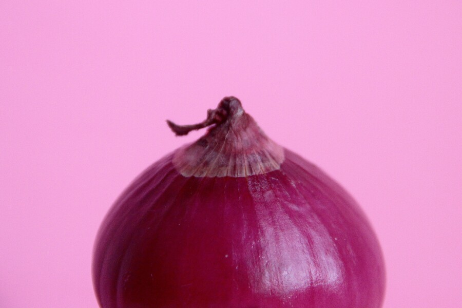 Onion