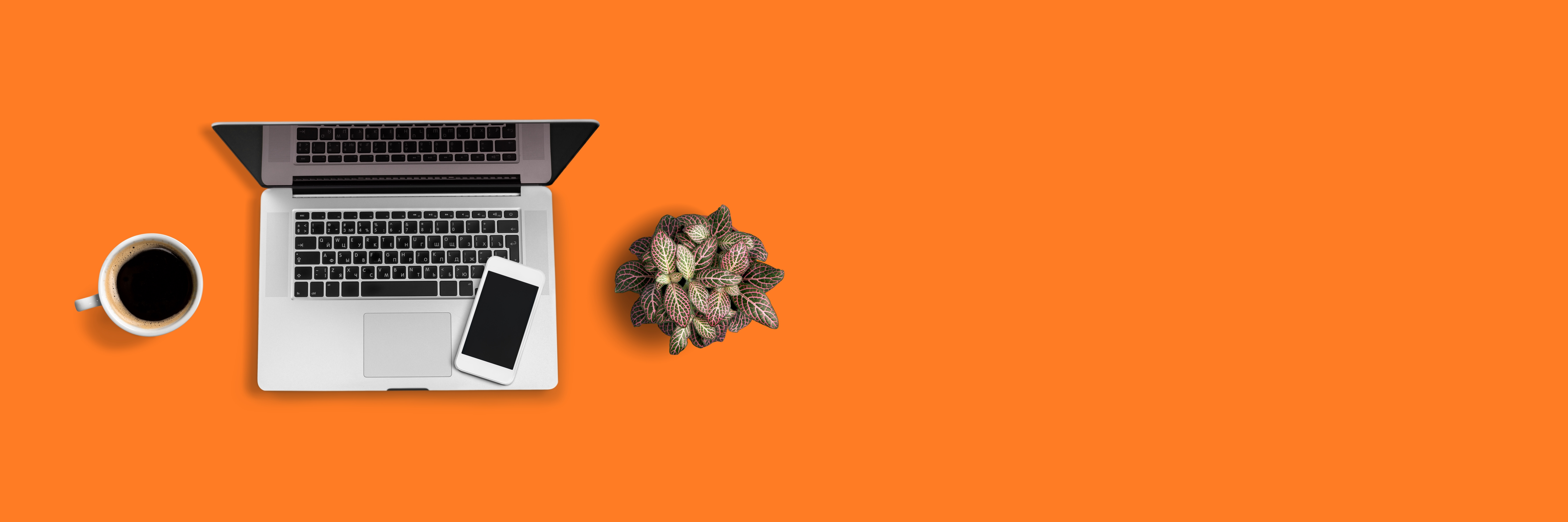 Shutterstock 1917320765