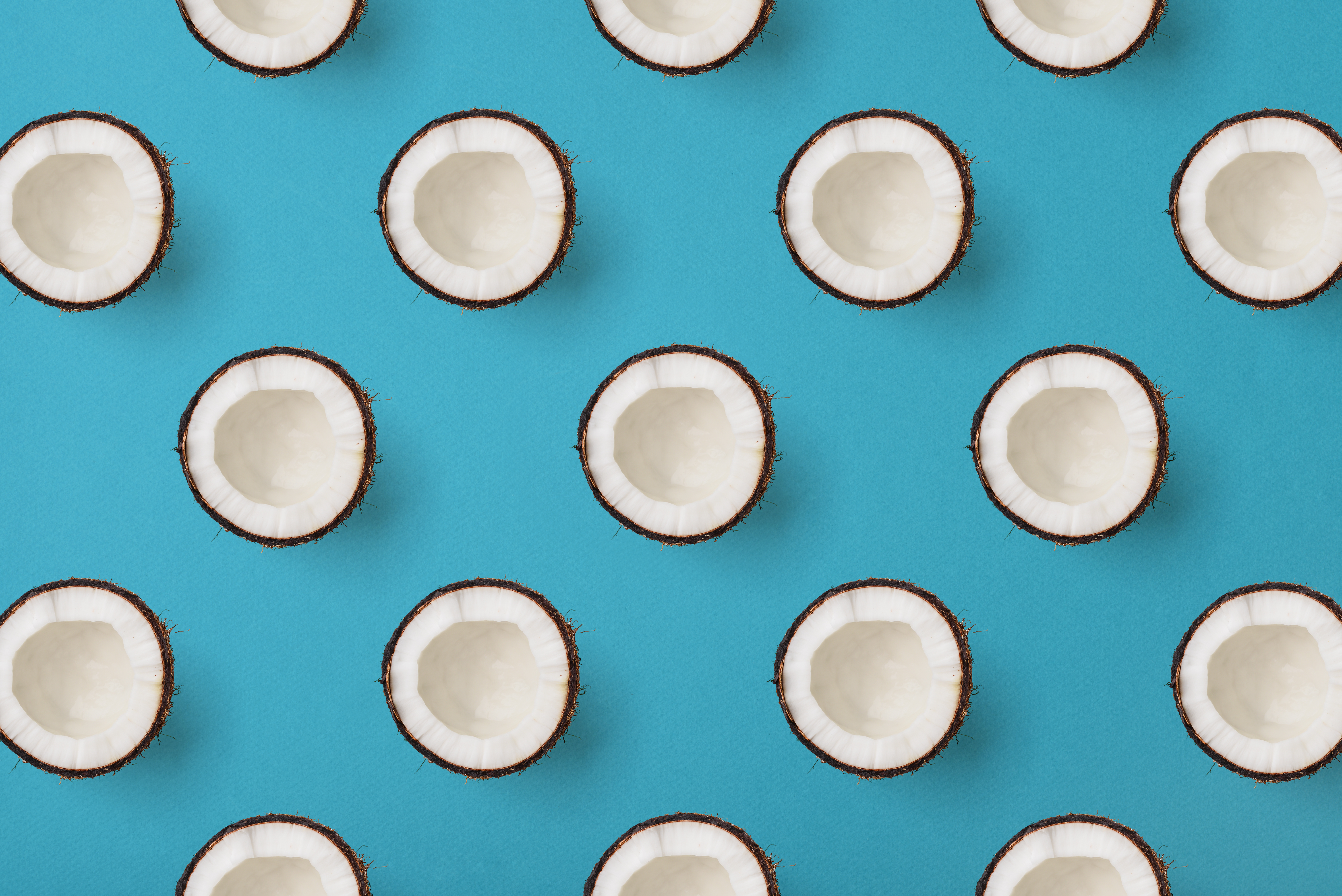 Shutterstock 1151426891